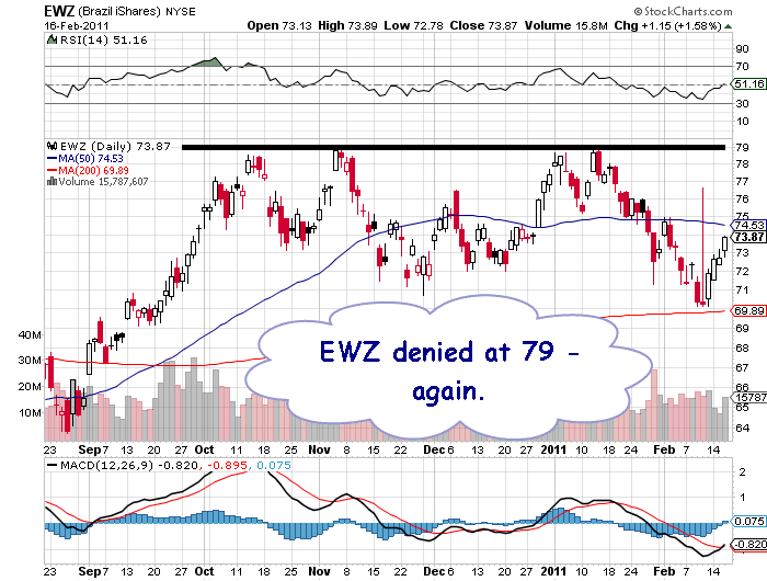 Brazil stock market crash 2011 EWZ
